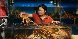 China bans all imports of seafood from Japan with immediate effect