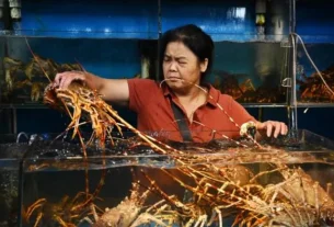 China bans all imports of seafood from Japan with immediate effect