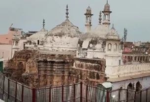 Gyanvapi Survey
