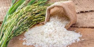 Rice to Nepal