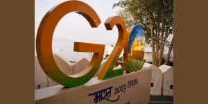 G20 Working Committee