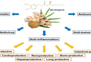 Medical & Health, Gingerol