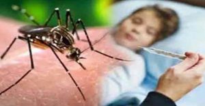 Gwalior, Dengue