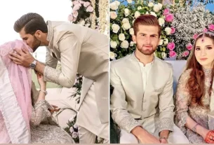 Shaheen Afridi Wedding