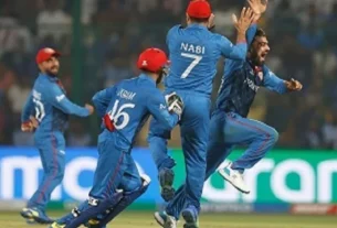 Cricket World Cup 2023