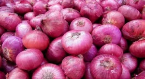 Onion Price in Pakistan