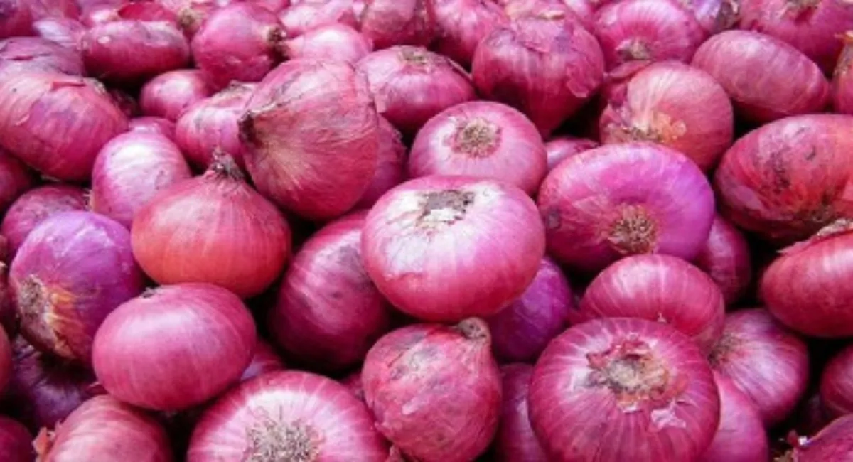 Onion Price in Pakistan
