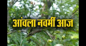Amla Navami 2023