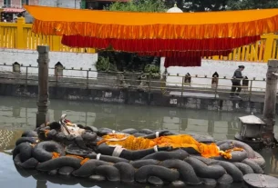 Haribodhini Ekadashi