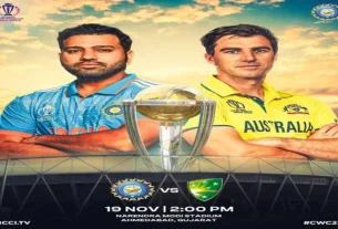 ICC World Cup Final