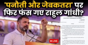 Rahul Gandhi, Panauti