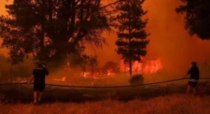 Chile Forest Fire