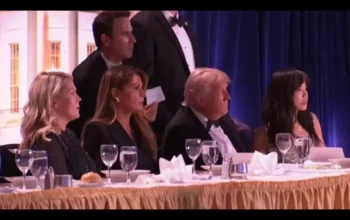 ColeThomasAllen, Trump, TrumpAttack