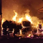 Aonla Fire, Bareilly
