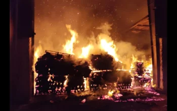 Aonla Fire, Bareilly