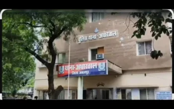 Cock Fight, Jabalpur