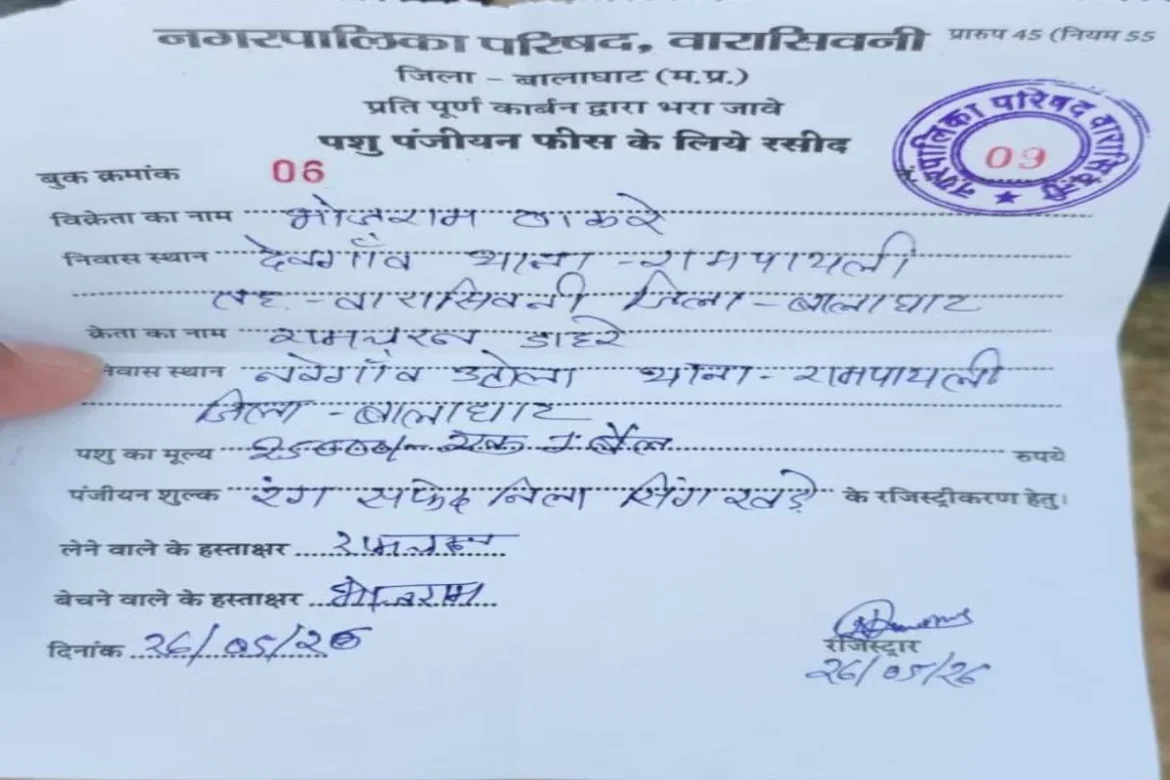 Maveshi Bajaar Ghotala मनमाने ढंग से वसूली कर रहे हैं ठेकेदार के कर्मचारी