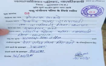 Maveshi Bajaar Ghotala