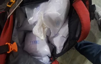 Drugs Seizer, Gurugram