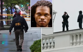 White House Shooting
