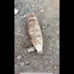Jabalpur Airport, UXO, Crime