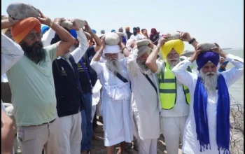 Social Work, Ferozpur, Punjab (1)