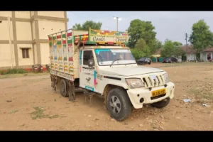 cow smuggling