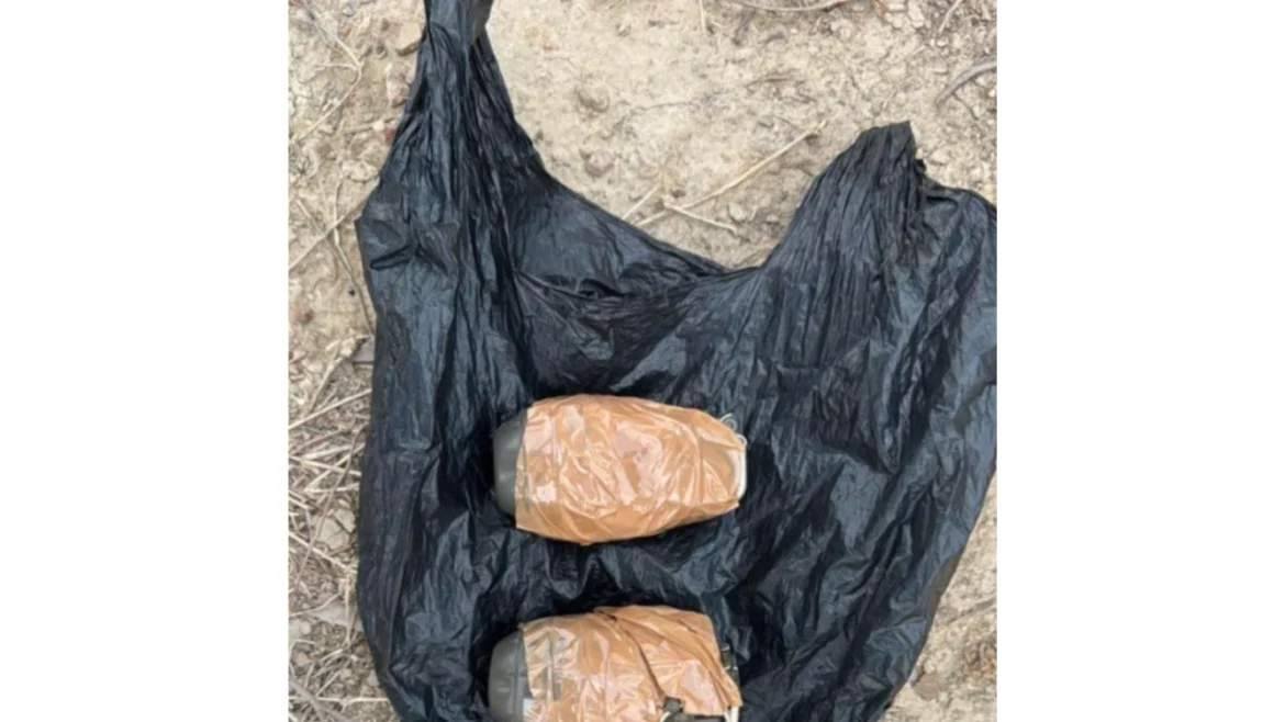 Amritsar Conspiracy foiled: बड़ी साजिश नाकाम, विदेशी हैंडलरों से जुड़े दो संदिग्ध गिरफ्तार, मिले दो खतरनाक हैंड ग्रेनेड