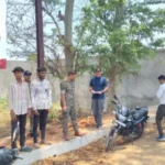 Tractor Accident, Waraseoni