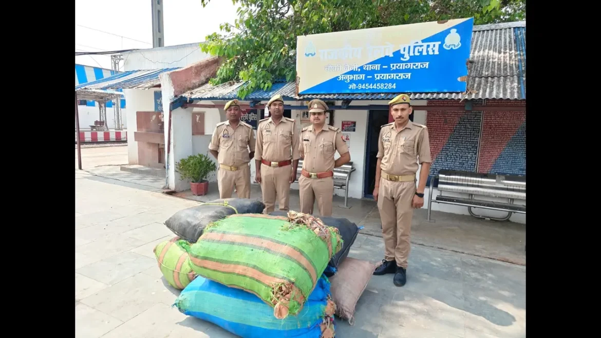 GRP Prayagraj ने नैनी रेलवे स्टेशन पर पकड़ा 2 क्विंटल अवैध तेंदू पत्ता, मालिक-तस्करों की हो रही पड़ताल