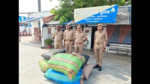 GRP Prayagraj, Tendu leaves